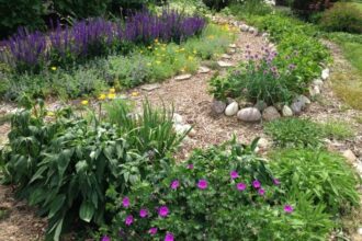 Edible Landscaping: Growing Food in Your Yard with Aesthetic Appeal